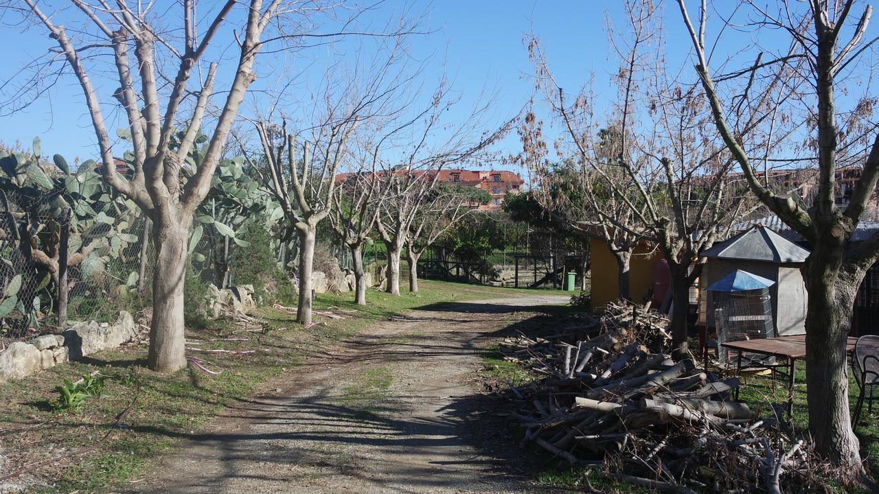 Agriturismo Masseria I Risi Guest House Sant'Eufemia Lamezia Exterior photo