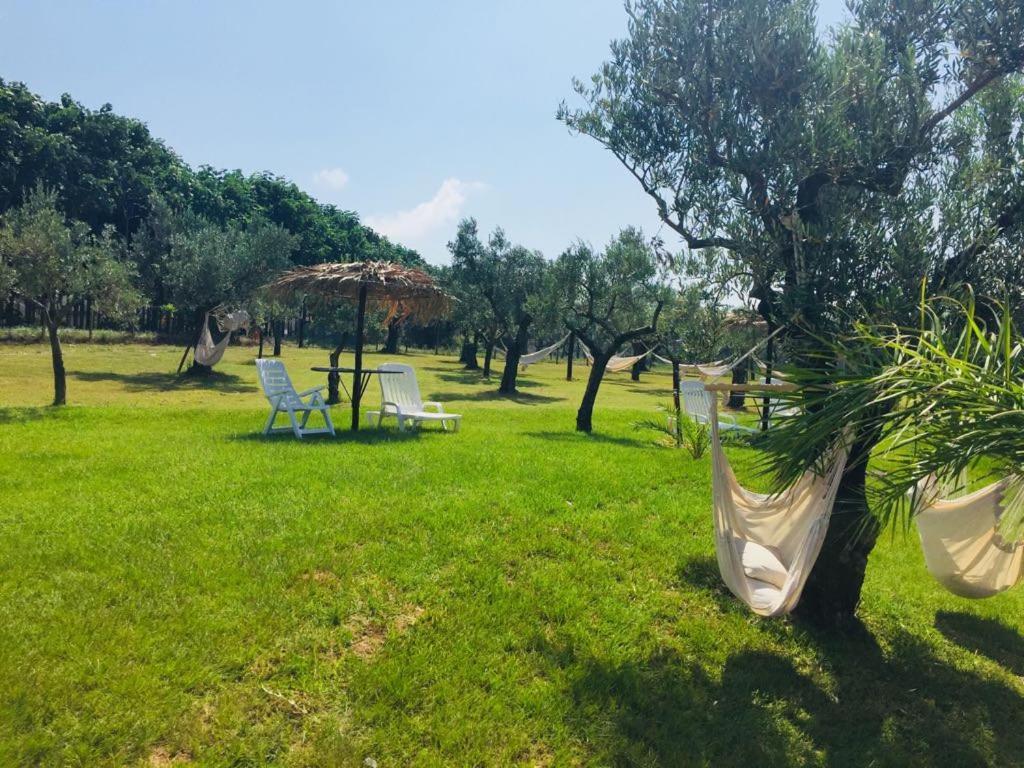 Agriturismo Masseria I Risi Guest House Sant'Eufemia Lamezia Exterior photo